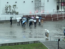 IMG_3368.jpeg