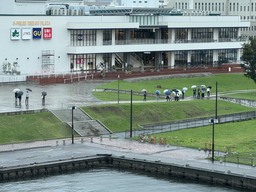 IMG_3372.jpeg